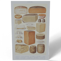 Cheese 1923