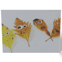 Leaves Faces 2018