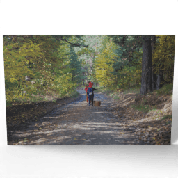 Were Going Mushroom Picking 2020