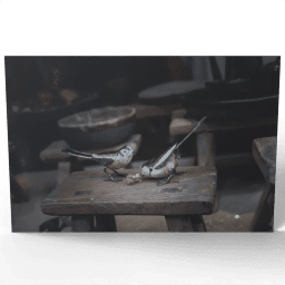 Wooden Birds on a Stool 2018