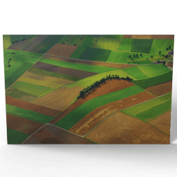 Top View of Arable Fields 2012