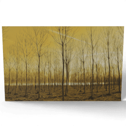 Young Trees in Rows 2017