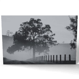 Black and White Landscape with Tree 2014