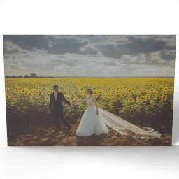 Bride and Groom against Sunflowers undated