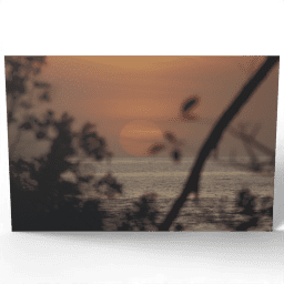 Sea at Sunset from Behind the Trees 2014