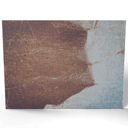 Rusty Metal Grunge undated