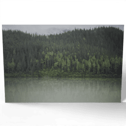 Foggy Coniferous Forest and Lake 2017