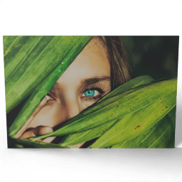 Mysterious Portrait of a Woman undated