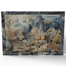 Ocean Life 1854