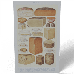 Cheese 1923