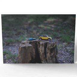 Toy Cars 2019