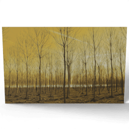 Young Trees in Rows 2017