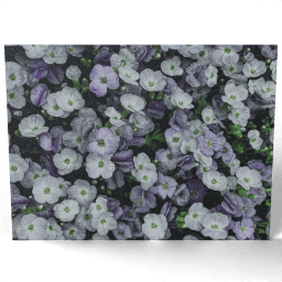 Spring Flowers 2020