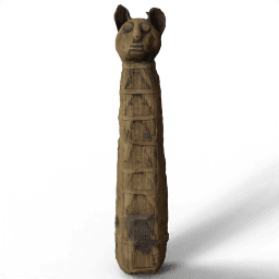 Mummy of a cat 332
