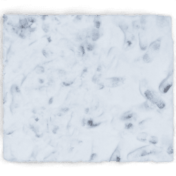 Footprints square
