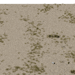 Desert AS B summer