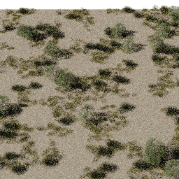 Desert AS E summer