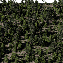 Forest EU con A spring summer autumn