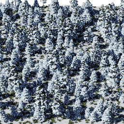 Forest EU con A winter