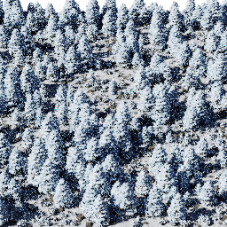 Forest EU con B winter
