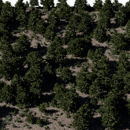 Forest EU con C spring summer autumn