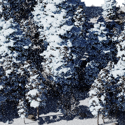 Forest NA con A winter