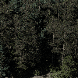 Forest NA con D spring summer autumn