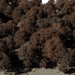 Forest EU dec A autumn
