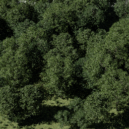 Forest EU dec A spring summer