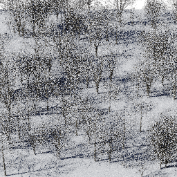 Forest EU dec A winter