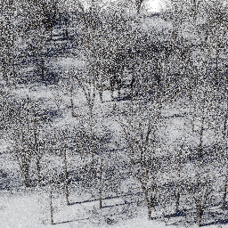 Forest EU dec B winter