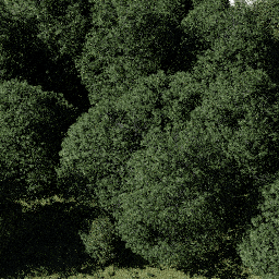 Forest EU dec E spring summer