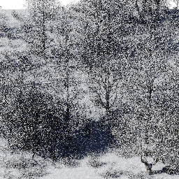 Forest EU dec E winter