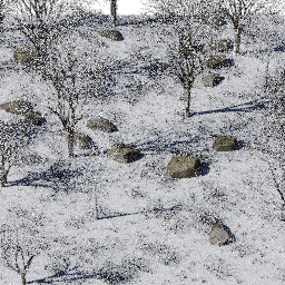 Forest EU dec glade A winter