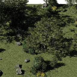 Forest EU dec glade B spring summer