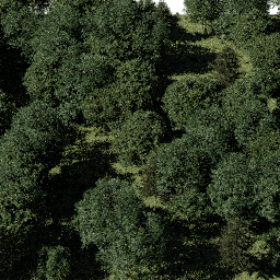 Forest EU mix A spring summer autumn