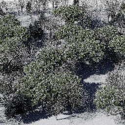 Forest EU mix A winter
