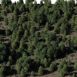 Forest EU mix B spring summer autumn