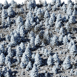 Forest EU mix B winter