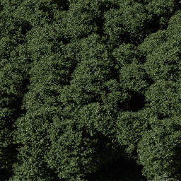 Forest EU mix C spring summer autumn