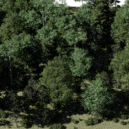 Forest NA mix A spring summer