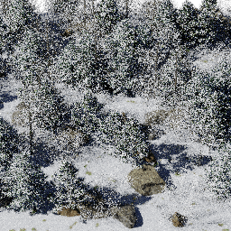 Forest NA mix D winter