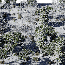 Forest NA mix G winter