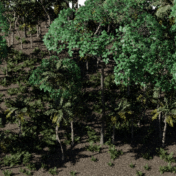 Tropical NA A spring summer autumn
