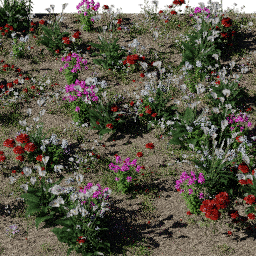 Flower Flower bed park A spring summer