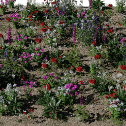 Flower Flower bed park B spring summer