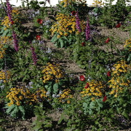 Flower Flower bed rustic A spring summer