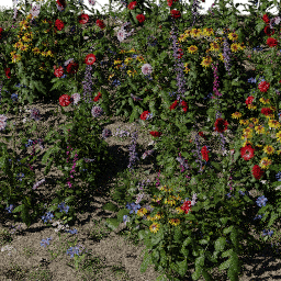 Flower Flower bed rustic B spring summer