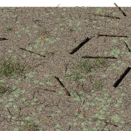 Forest debris Deciduous A spring summer autumn