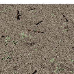 Forest debris Mixed B spring summer autumn